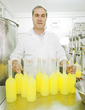 Production of traditional liqueur Limoncello in the distillery, laboratory and factory Il gusto della Costa, The taste of the coast owned by Valentino Esposito, Positano, Amalfi coast, Campania, Italy, Europe