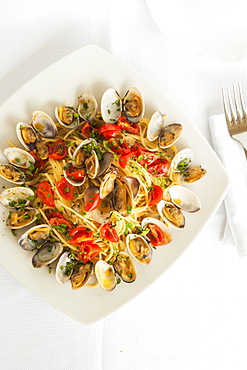 Spaghetti with Pachino cherries tomatoes, fresh clams, extra vergin olive oil and parsley