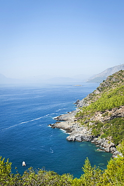 Coast on the Tyrrhenian Sea near Maratea, Basilicata, Italy, Europe