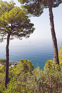 Seaside near Maratea, Basilicata, Italy, Europe