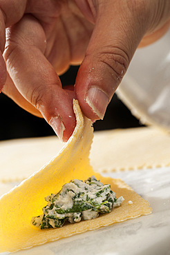 Working with fresh handmade pasta Pansoti, typical of Liguria. Italy