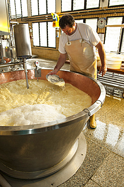 Production of Parmigiano Reggiano at the Hombre dairy, Modena, Emilia Romagna, Europe, Italy