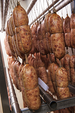 Sergio Motta at the processing of cotechino, sausage cured meat, at the renowned Macelleria Motta, Bellinzago Lombardo, Milan, Lombardy, Italy, Europe