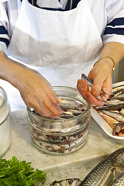 Salting of anchovies at Pescheria Clelia fish market, via Colombo 106; Noli, Savona, Liguria, Italy