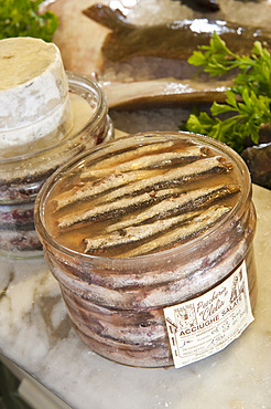 Salting of anchovies at Pescheria Clelia fish market, via Colombo 106; Noli, Savona, Liguria, Italy