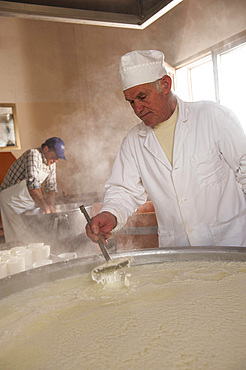 Making Ricotta cheese with milk from Modica cows at the Floridia dairy. Ispica, Ragusa, Sicily, Italy, Europe.