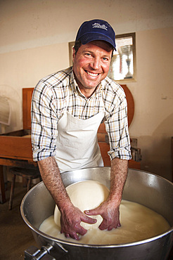 Processing of Ragusano DOP cheese with milk from Modica cows at the Floridia dairy. Ispica, Ragusa, Sicily, Italy, Europe.