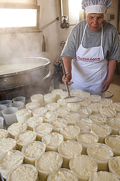 Making Ricotta cheese with milk from Modica cows at the Floridia dairy. Ispica, Ragusa, Sicily, Italy, Europe.