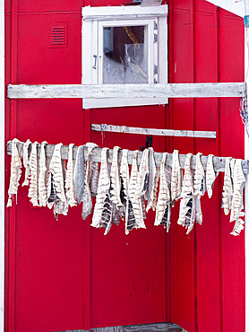 Town Uummannaq during winter in northern Greenland. Fish on rack. America, North America, Denmark, Greenland