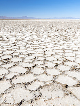 Surface of the Salar predominantly natriumchloride. Landscape on the salt flats Salar Salinas Grandes in the Altiplano. South America, Argentina