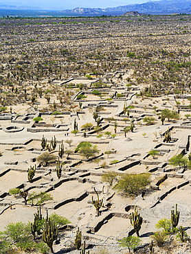 The ruins of Quilmes near Tucuman and Cafayate. Quilmes is considered as the biggest pre-columbian settlement in Argentina. South America, Argentina, November