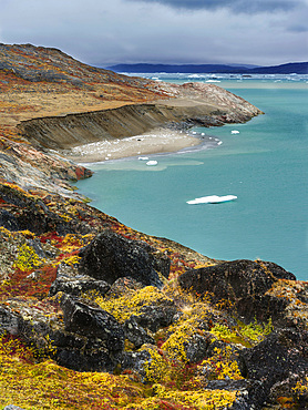 Tundra near glacier Eqip (Eqip Sermia) in western Greenland. America, North America, Greenland, Denmark