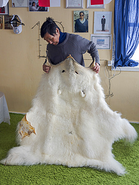 Fur of a polar bear. Hunting is strictly regulated and only for personal use of the locals. The traditional and remote greenlandic inuit village Kullorsuaq, Melville Bay, part of Baffin Bay. America, North America, Greenland, Danish territory