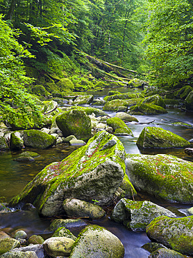 Valley of river Wolfsteiner Ohe (Buchberger Leite) in the Bavarian Forest. Europe, Germany, Bavaria