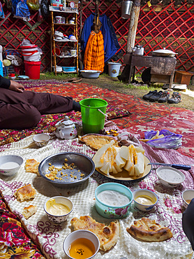 The yurt of a local herder. The Alaj valley in the Pamir Mountains, Asia, Central Asia, Kyrgyzstan