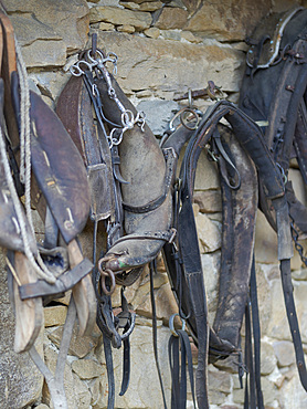 Old horse gear at the wall of a farmhouse. Open Air Museum Finsterau, Bavarian Forest, Germany, Europe