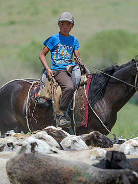 Young shepherd driving sheep. Folk Festival commemorating the origin myth the Tien Shan Maral (Tian Shan wapiti), an origin myth of the Kyrgyz tribes. Near Tasch Baschat, Naryn region. Asia, Central Aisa, Kyrgyzstan