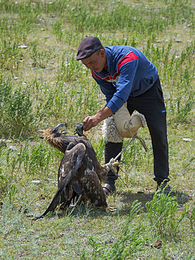 Falconer. Folk Festival commemorating the origin myth the Tien Shan Maral (Tian Shan wapiti), an origin myth of the Kyrgyz tribes. Near Tasch Baschat, Naryn region. Asia, Central Aisa, Kyrgyzstan