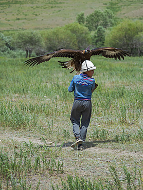 Falconer. Folk Festival commemorating the origin myth the Tien Shan Maral (Tian Shan wapiti), an origin myth of the Kyrgyz tribes. Near Tasch Baschat, Naryn region. Asia, Central Aisa, Kyrgyzstan