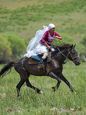 Kyz kuumai, bridegroom chasing the bride, a traditional equestrian sport. Folk Festival commemorating the origin myth the Tien Shan Maral (Tian Shan wapiti), an origin myth of the Kyrgyz tribes. Near Tasch Baschat, Naryn region. Asia, Central Aisa, Kyrgyzstan