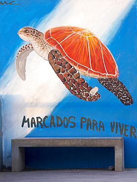 Marine turtle, mural. Town Ponta do Sol, Island Santo Antao, Cape Verde in the equatorial atlantic. April