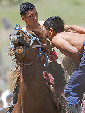 Er Enish or Oodarysh, wrestling from horseback, a traditional equestrian sport. Folk and Sport festival on the Suusamyr plain commemorating Mr Koshomkul, a sportsman and folk hero of the last century. Asia, central Asia, Kyrgyzstan