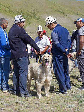 Breeders of kyrgysz hunting dog, Taigan, during a competition. Folk and Sport festival on the Suusamyr plain commemorating Mr Koshomkul, a sportsman and folk hero of the last century. Asia, central asia, Kyrgyzstan