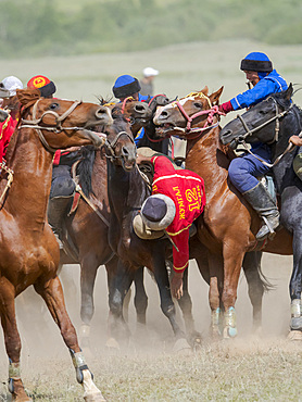 Kok Boru (Buzkashi), traditional equestrian team sport. Festival on the Suusamyr plain commemorating Mr Koshkomul, a sportsman and folk hero of the last century. Kok Boru is listed as UNESCO Intangible Cultural Heritage Asia, central asia, Kyrgyzstan