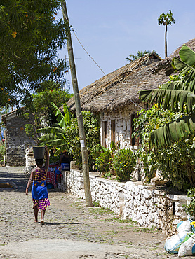 Rua Banana with traditional houses dating back to the founding of the town in the 15th century. Cidade Velha, historic center of Ribeira Grande, listed as UNESCO world heritage. Island of Santiago (Ilha de Santiago), Islands of Cape Verde in the equatorial Atlantic.