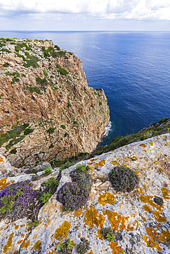 El Pilar de la Mola, Cliff, Formentera, Balearic Islands, Spain