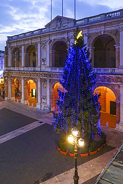 Christmas, Tree, Piazza della Madonna square, Sanctuary of Madonna di Loreto, Loreto, Marche, Italy, Europe