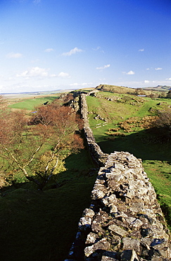 Wallcrags, Roman wall, Hadrian's Wall, UNESCO World Heritage Site, Northumberland (Northumbria), England, United Kingdom, Europe