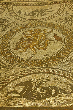 Boy on a dolphin and a flying horse, centre of mosaic floor, Fishbourne Roman Palace, near Chichester, Sussex, England, United Kingdom, Europe