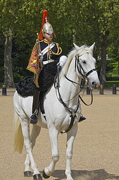 The Trumpeter of the Horse Guards, Horse Guards Parade, London, England, United Kingdom, Europe