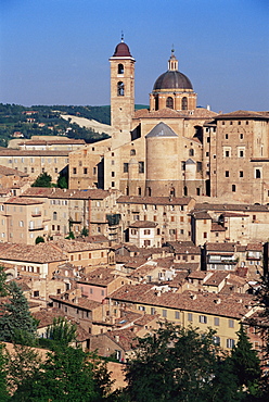 Urbino, Marche, Italy, Europe