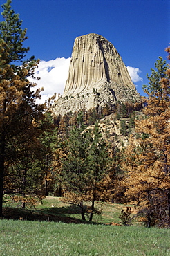 Devil's Tower, Devil's Tower National Monument, Wyoming, United States of America, North America