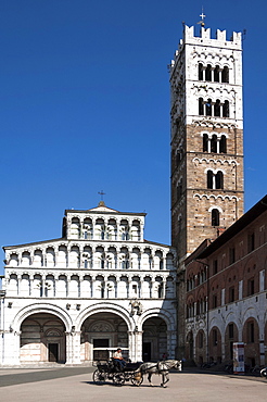 Horse drawn carriage crossing the Piazza San Martino, Lucca, Tuscany, Italy, Europe