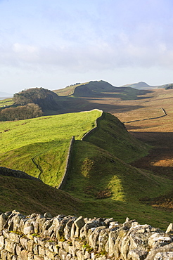 View west from Kings Hill to Housesteads Crags and Cuddy's Crags, Hadrians Wall, UNESCO World Heritage Site, Northumbria, England, United Kingdom, Europe