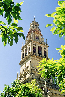 Bell tower, Cordoba, Andalucia (Andalusia), Spain, Europe