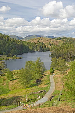 Tarn Hows, Helvellyn Range in distance, Lake District National Park, Cumbria, England, United Kingdom, Europe