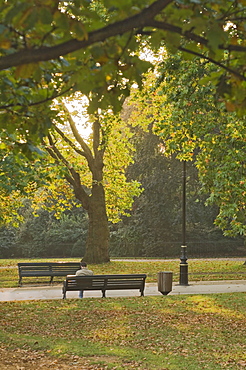 Autumn, Hyde Park, London, England, United Kingdom, Europe