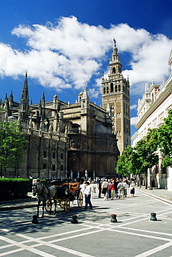 Seville, Andalucia (Andalusia), Spain, Europe