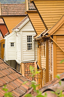 The wooden buildings of Bryggen, UNESCO World Heritage Site, Bergen, Norway, Scandinavia, Europe