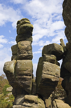 Brimham Rocks, Brimham Moor, near Ripon, North Yorkshire, England, United Kingdom, Europe