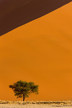 Sand dunes, Sossusvlei, Namib Naukluft Park, Namib Desert, Namibia, Africa