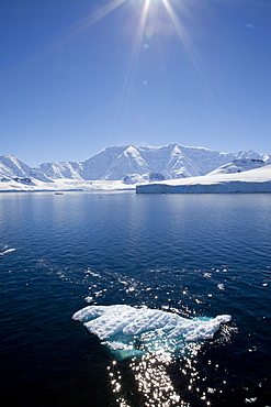 Glacier Bay, Port Lockroy, Antarctic Peninsula, Antarctica, Polar Regions