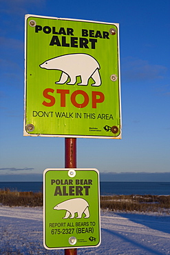 Sign, Polar bear alert at Hudson Bay, Churchill, Manitoa, Canada, North America