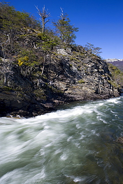 Coastline, Ushuaia, Tierra del Fuego National Park, Argentina, South America