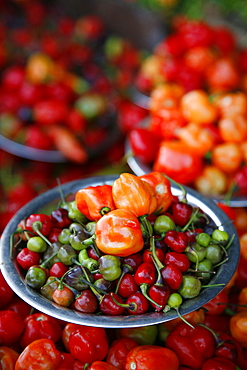 Peppers at Sao Joaquim market, Salvador (Salvador de Bahia), Bahia, Brazil, South America 