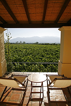 Cafayate Wine Resort, Cafayate, Salta Province, Argentina, South America